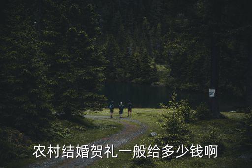 農(nóng)村結(jié)婚賀禮一般給多少錢(qián)啊