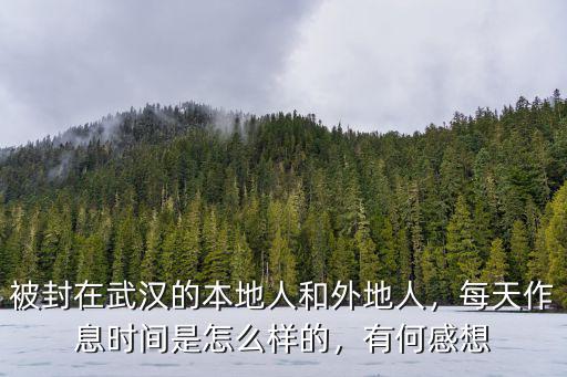 被封在武漢的本地人和外地人，每天作息時間是怎么樣的，有何感想
