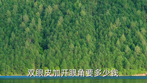 雙眼皮加開眼角要多少錢