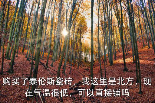 購買了泰倫斯瓷磚，我這里是北方，現在氣溫很低，可以直接鋪嗎