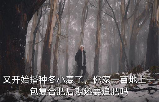 又開始播種冬小麥了，你家一畝地上一包復合肥后期還要追肥嗎
