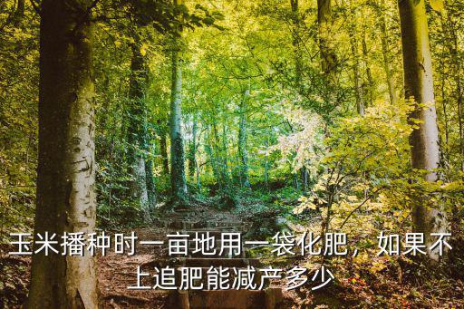 玉米播種時一畝地用一袋化肥，如果不上追肥能減產多少