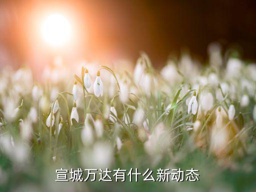 宣城萬達有多少層,宣城萬達有什么新動態