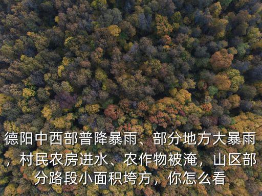 德陽哪里有農房,德陽哪里有不錯的農家樂