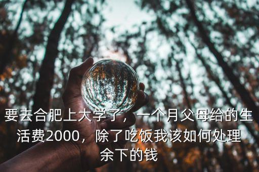 要去合肥上大學(xué)了，一個(gè)月父母給的生活費(fèi)2000，除了吃飯我該如何處理余下的錢
