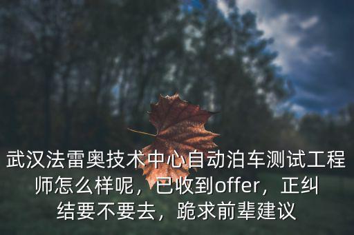 武漢法雷奧技術中心自動泊車測試工程師怎么樣呢，已收到offer，正糾結要不要去，跪求前輩建議