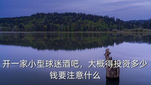 石家莊開(kāi)酒吧要多少錢(qián),開(kāi)一家小型球迷酒吧