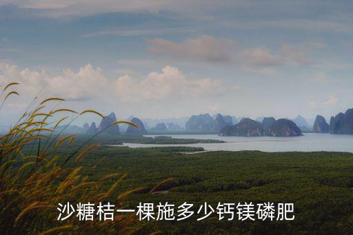 第二年的沙糖桔一棵放多少復合肥,沙糖桔一棵施多少鈣鎂磷肥
