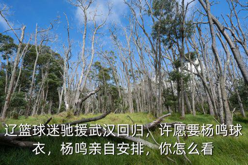 遼籃球迷馳援武漢回歸，許愿要楊鳴球衣，楊鳴親自安排，你怎么看