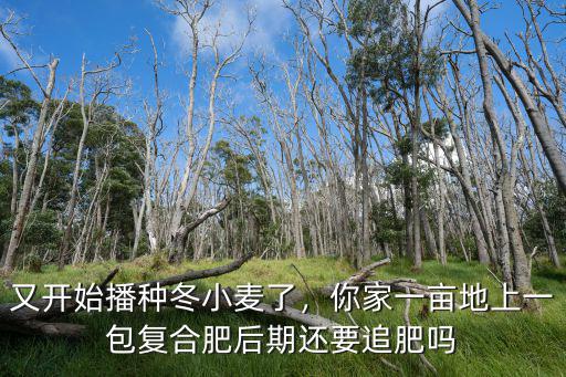 圣牛復(fù)合肥一包多少,你家一畝地上一包復(fù)合肥