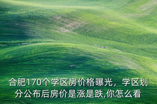 合肥市瑞陽公館學區(qū)房價多少,學區(qū)劃分公布后房價是漲是跌