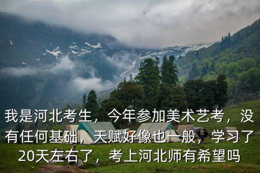 2019年河北美術(shù)考生有多少人,我是河北考生