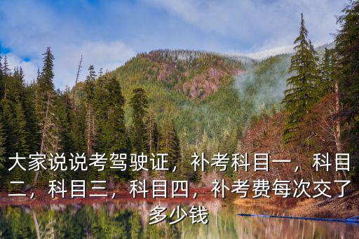 安徽省駕駛證補考費多少錢,補考費每次交了多少錢