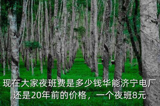 安徽電網夜班費多少錢,現在大家夜班費是多少錢