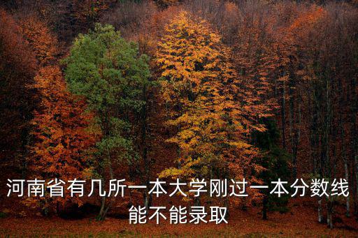 河南省的大學(xué)有多少一本,河南省有幾所一本大學(xué)