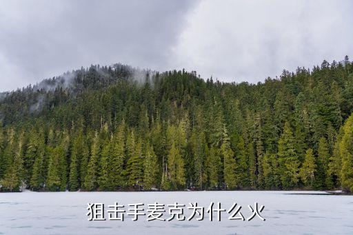 成都哪里有賣狙擊手麥克的,狙擊手麥克為什么火