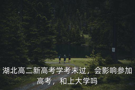 湖北高考學考不過怎么辦,湖北高二新高考學考未過