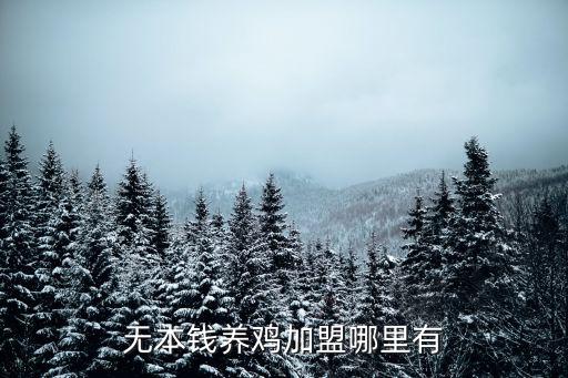 四川達(dá)州哪里有合作養(yǎng)雞的,無本錢養(yǎng)雞加盟哪里有
