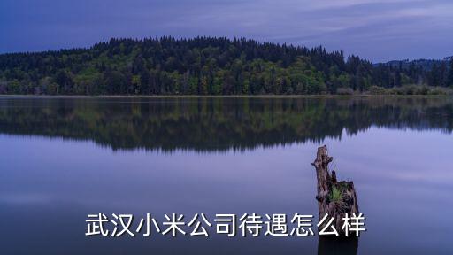 武漢小米公司待遇怎么樣