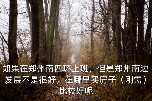 鄭州鄭南區哪個小區好哪里買,鄭州買房是南邊好