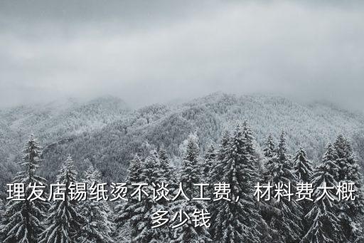 錫紙燙大概多少錢安徽,理發(fā)店錫紙燙不談人工費(fèi)
