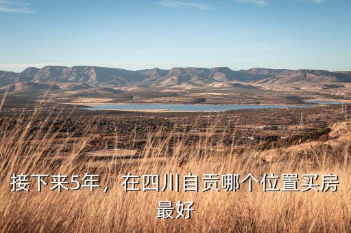 自貢在哪里房好些,在四川自貢哪個位置買房最好