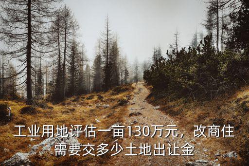 銅陵工業用地多少一畝,工業用地評估一畝130萬元