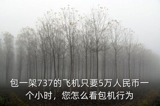 包一架737的飛機只要5萬人民幣一個小時，您怎么看包機行為