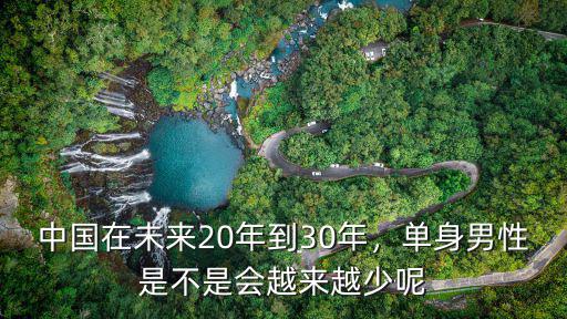 中國在未來20年到30年，單身男性是不是會越來越少呢