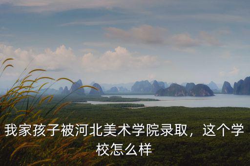 河北美術學院書法系學費多少,河北美術學院怎么樣