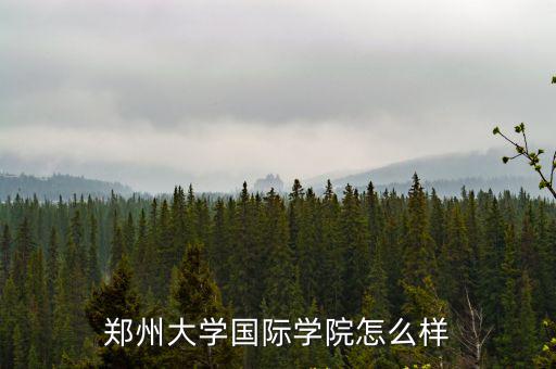 鄭州大學國際學院怎么樣