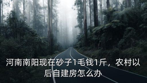 南陽現(xiàn)在哪里能玩沙,河南南陽現(xiàn)在砂子1毛錢1斤