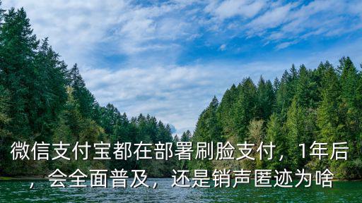 銅陵支付寶刷臉支付泰成5g微支付多少錢,微信支付寶都在部署刷臉支付