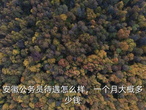 安徽國稅局一個月多少錢工資多少,一個月大概多少錢