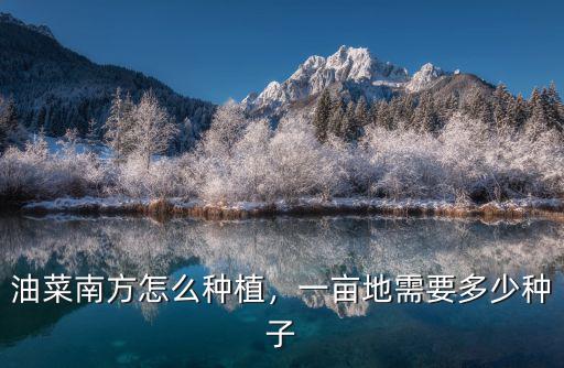 一畝油菜地用多少復合肥,一畝地需要多少種子