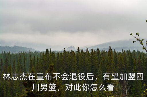 林志杰在宣布不會退役后，有望加盟四川男籃，對此你怎么看