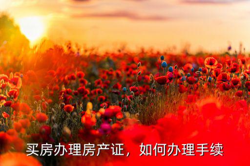 湖北孝昌房產證怎么辦理,買房辦理房產證