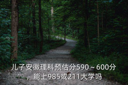 安徽的學生考多少分能上211,能上985或211大學嗎