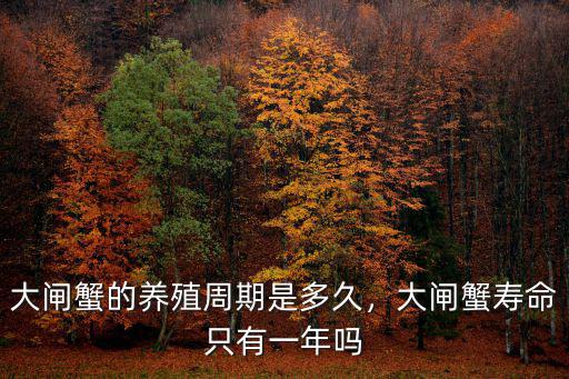 安徽一年養殖有多少噸螃蟹,養殖龍蝦或者是螃蟹