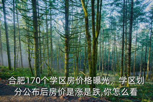 安徽合肥學區房均價多少,現在入手合肥的學區房劃算嗎