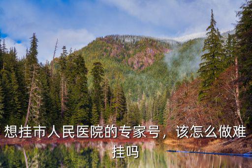想掛市人民醫(yī)院的專家號(hào)，該怎么做難掛嗎