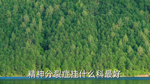 精神分裂癥掛什么科最好