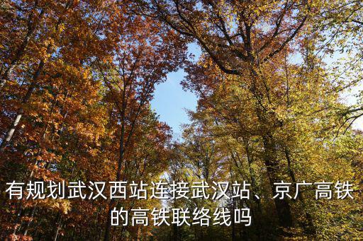 武漢天興洲以后怎么規(guī)劃,武漢天興洲為什么會漂移