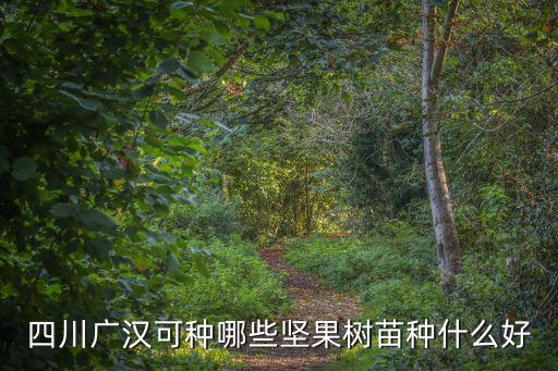 四川廣漢可種哪些堅果樹苗種什么好
