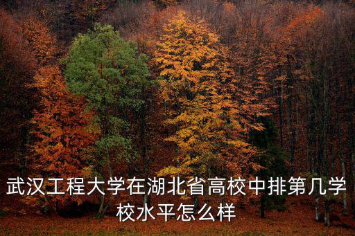 武漢工程大學化學工藝學院怎么樣,武漢工程大學怎么樣