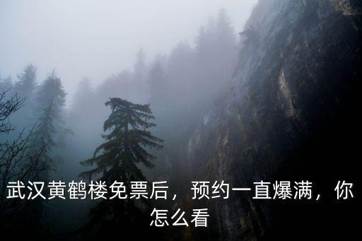 湖北黃鶴樓免費門票怎么預約,預約一直爆滿