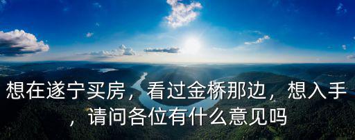想在遂寧買房，看過金橋那邊，想入手，請問各位有什么意見嗎