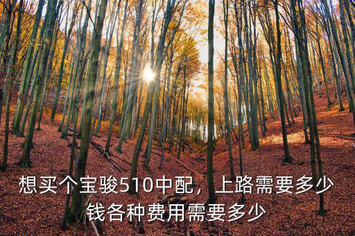 想買個寶駿510中配，上路需要多少錢各種費用需要多少