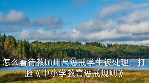 怎么看待武漢中小學教育的,如何看待武漢中小學補課政策