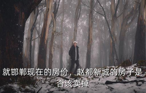 邯鄲趙都新城最新房?jī)r(jià)多少錢,就邯鄲現(xiàn)在的房?jī)r(jià)